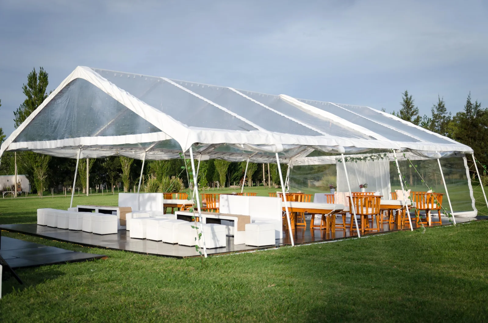 Carpa cristal