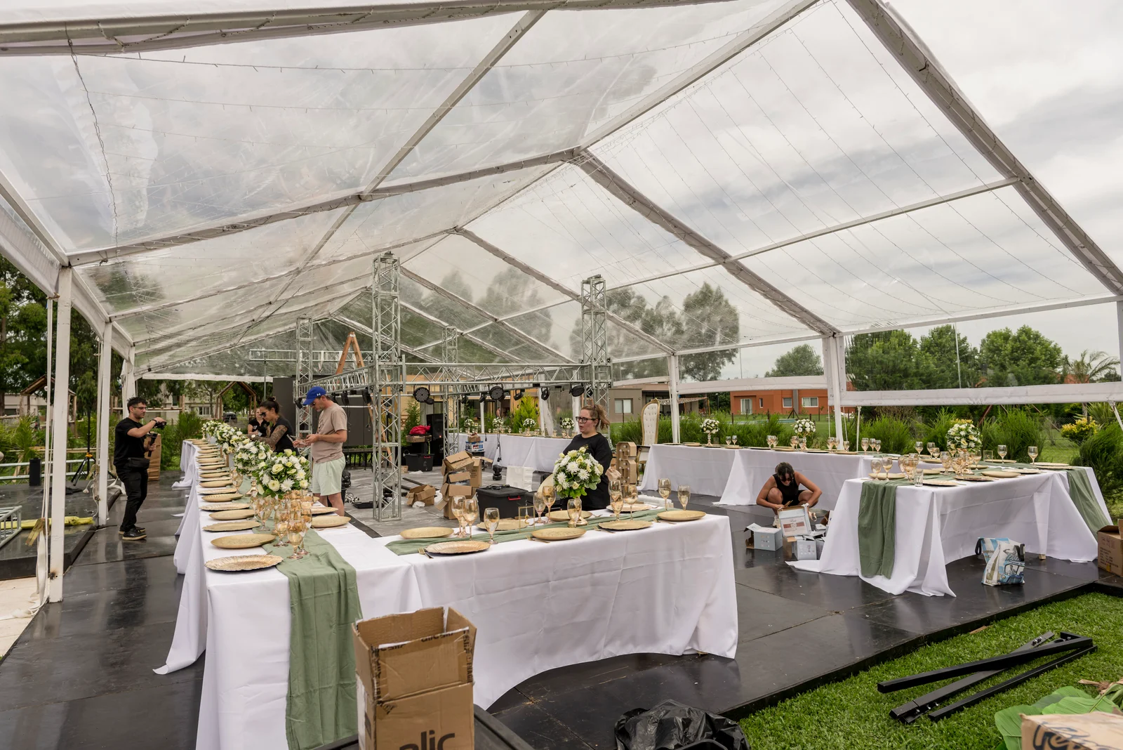 Carpa cristal