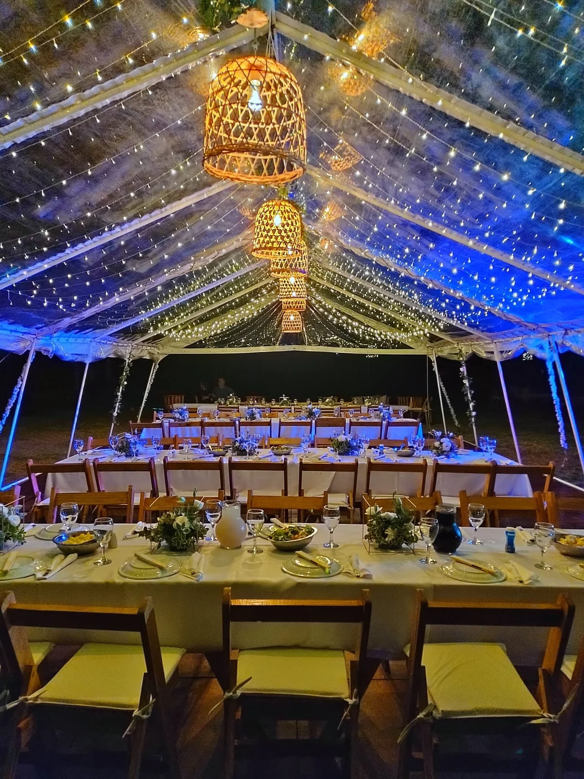 Carpa cristal