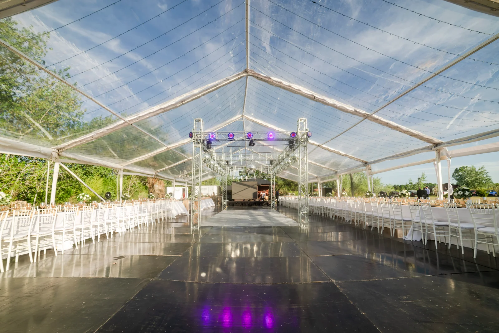 Carpa cristal
