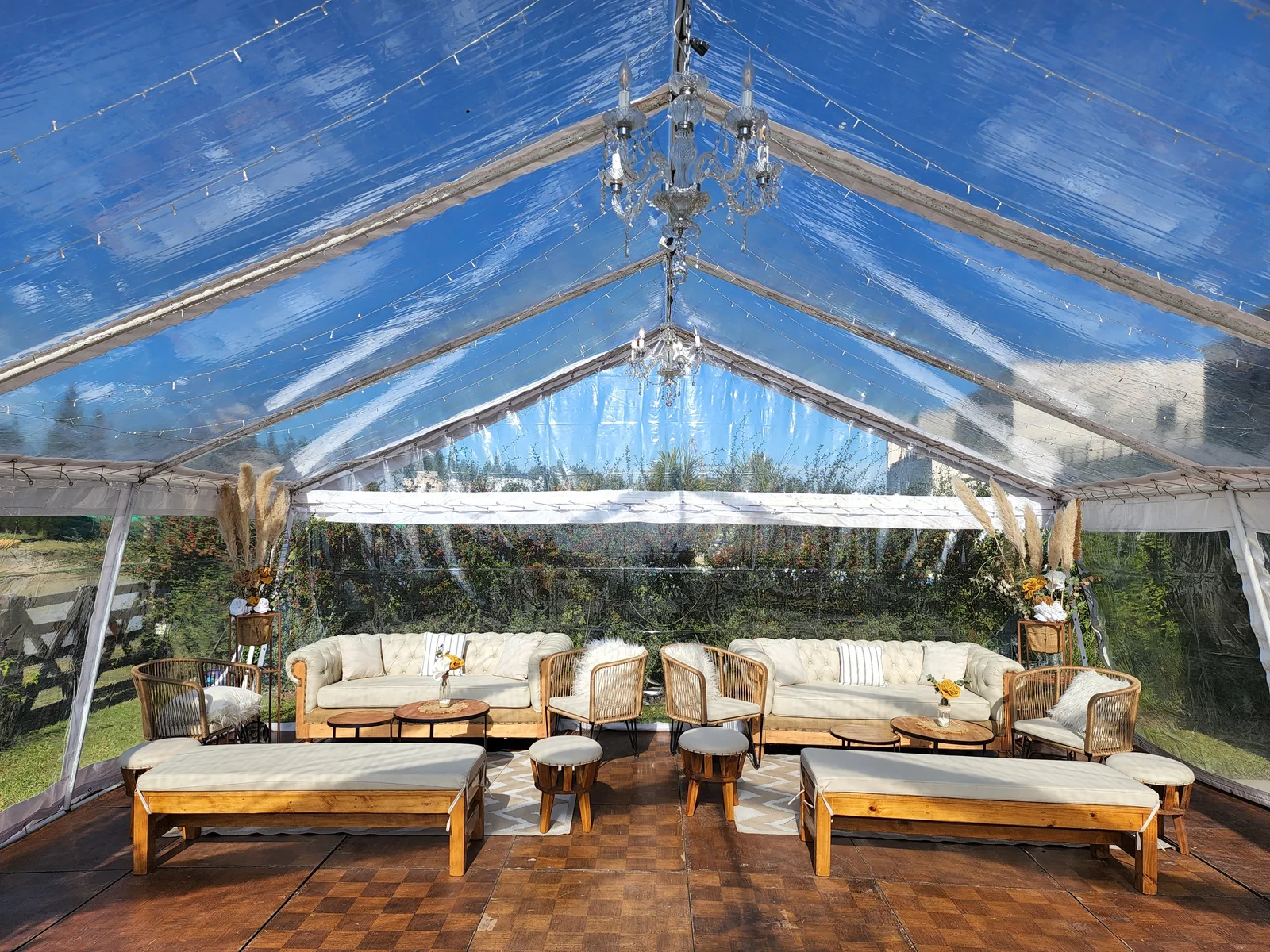 Carpa cristal