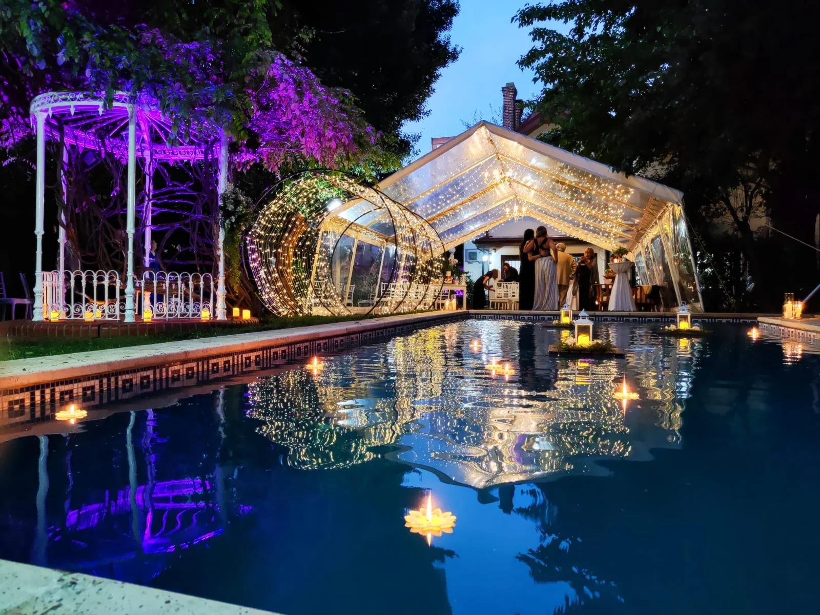 Carpa cristal